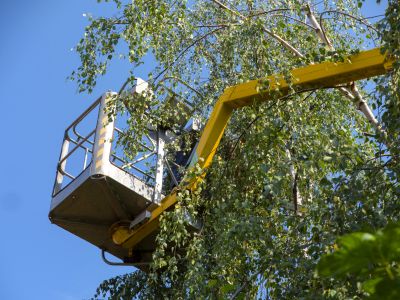 Service Locations for House Lifting