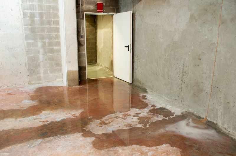 Basement Seepage Repair in Fort Collins, CO