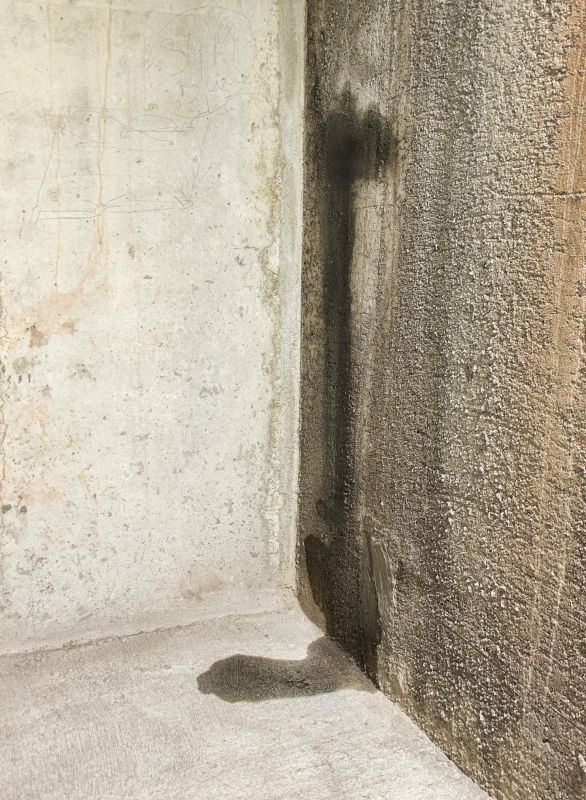 Leaking Basement Repair in Fredericksburg, VA